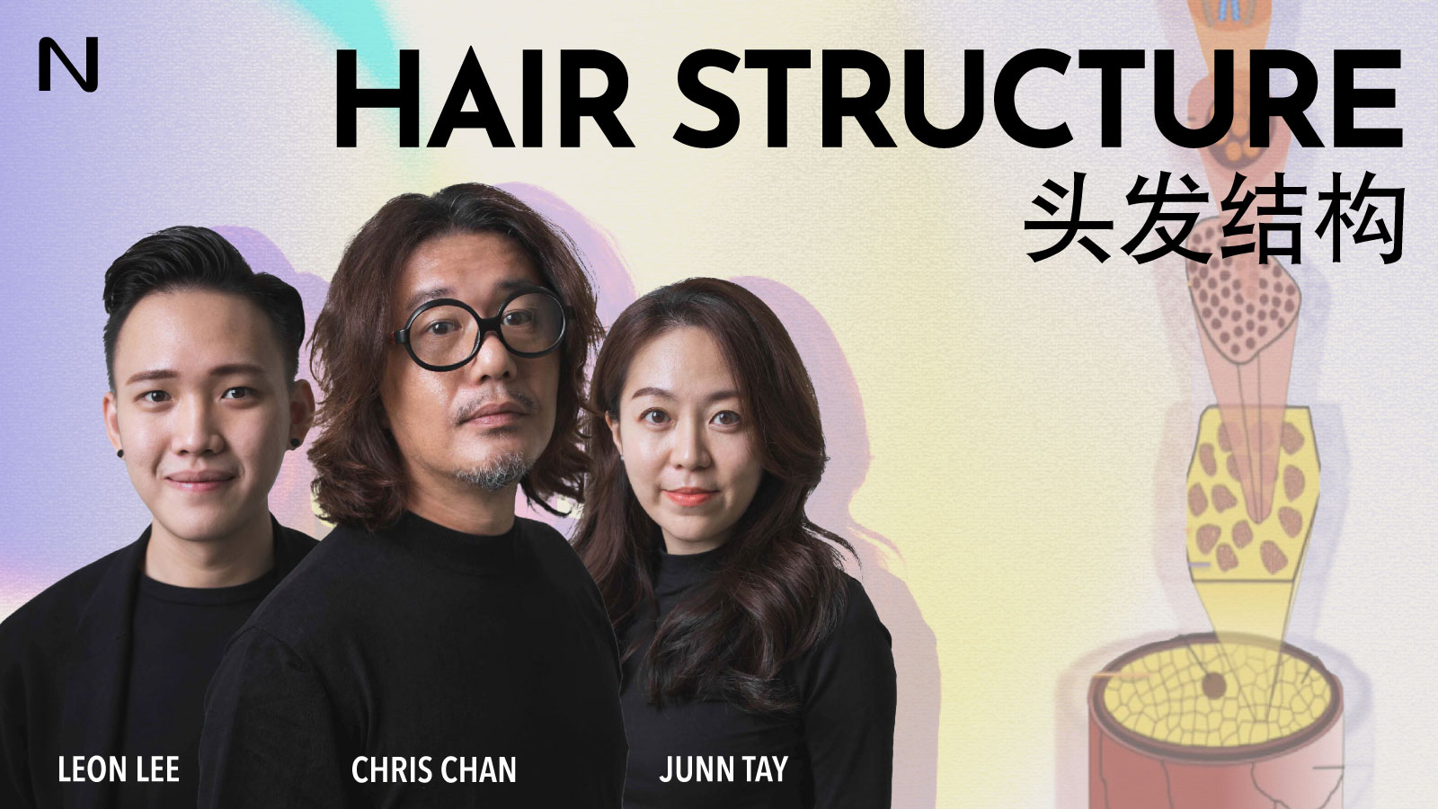 Hair Structure 头发结构