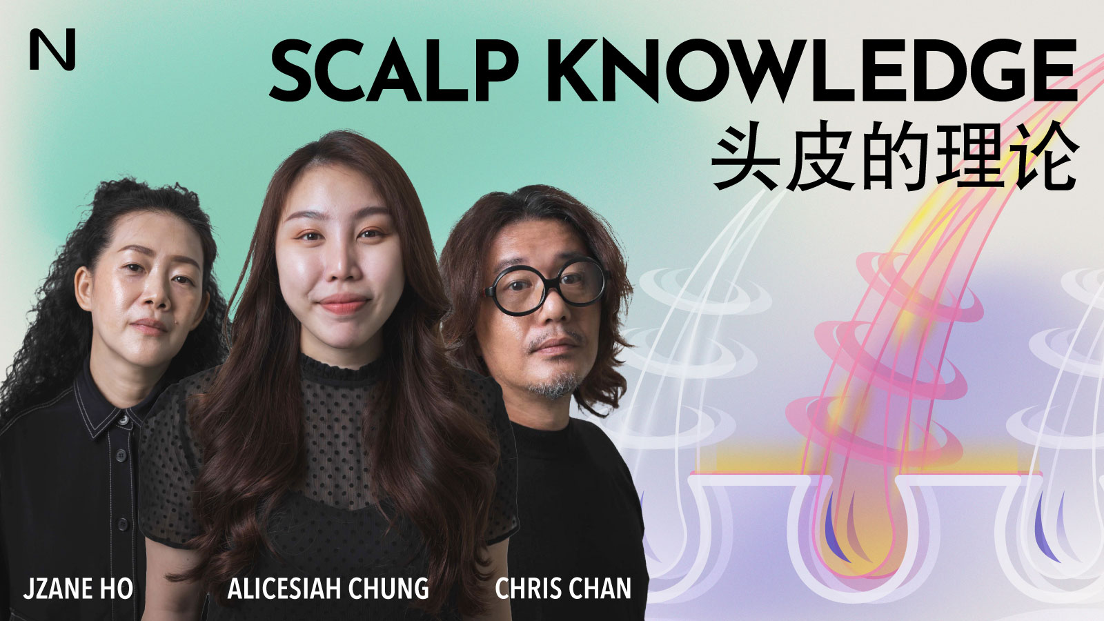 Scalp Knowledge 头皮的理论