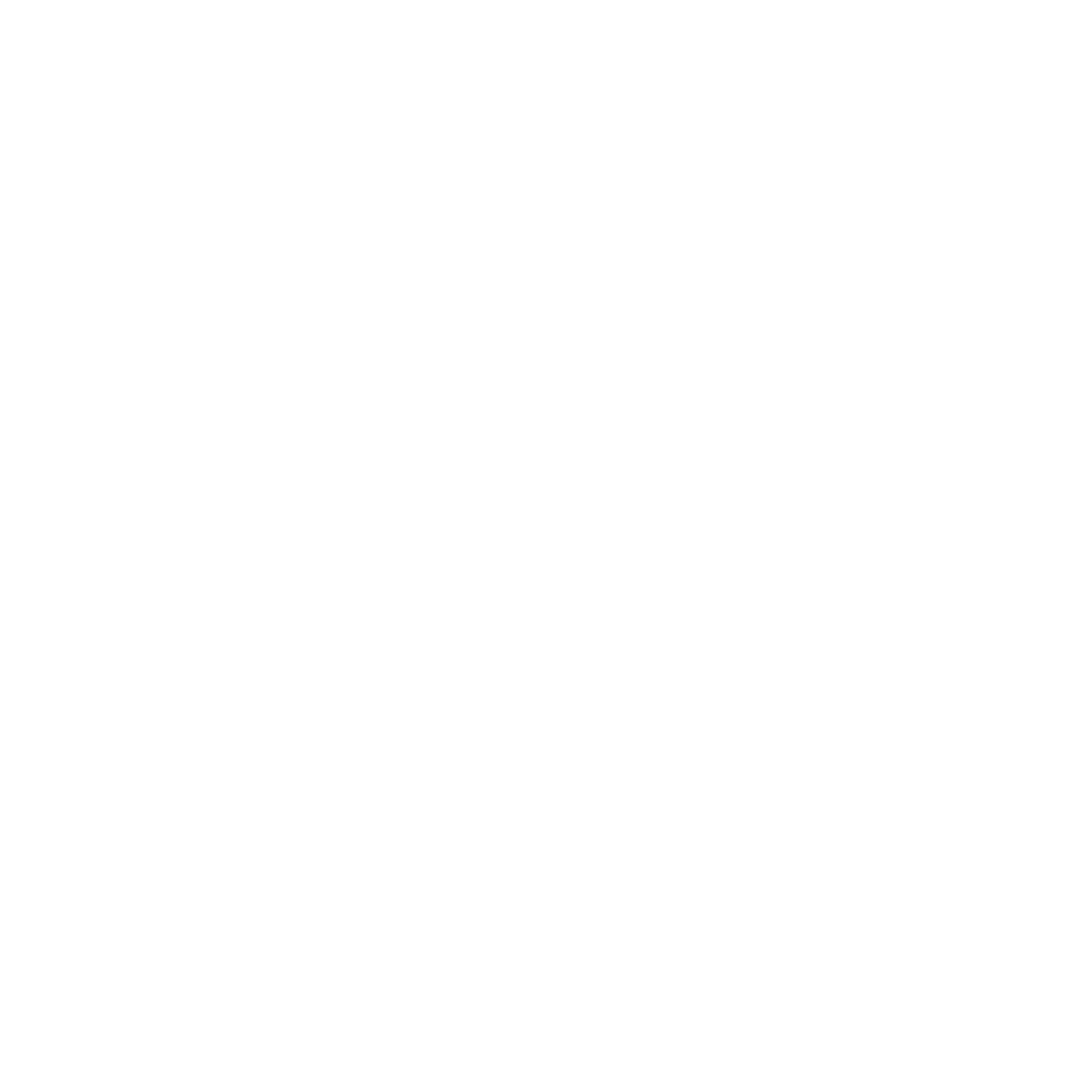 NEO Academy Logo